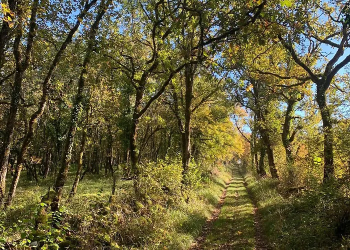 度假居 Charmante Maison De Village *